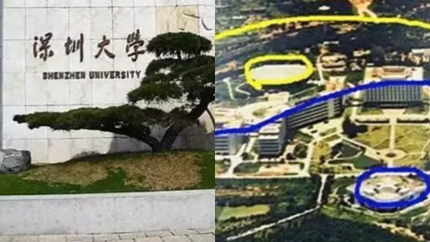 深圳大学