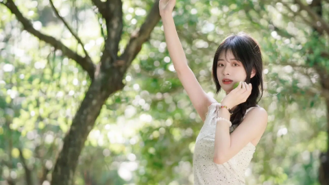 无钢圈一片式热压