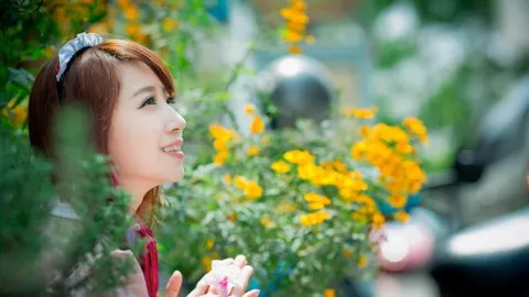 日本梅毒扩散爆料