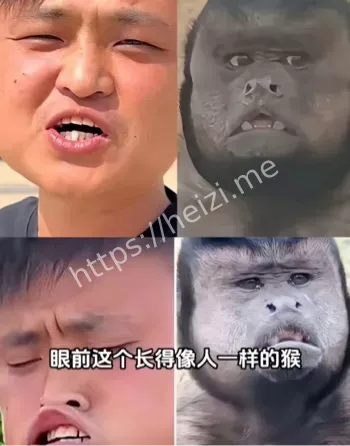 死亡原因公布