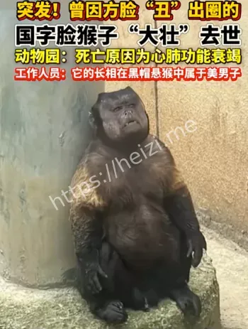 动物园通报