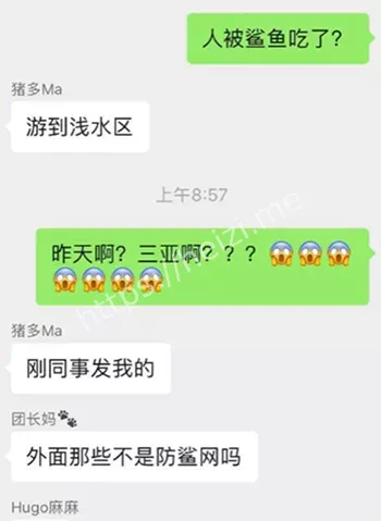 三亚鲨鱼吃人