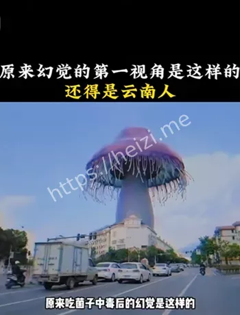 野生菌科普