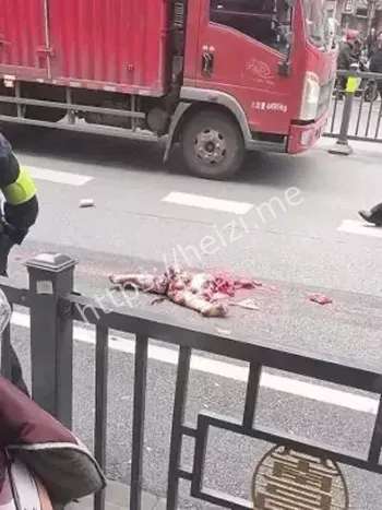 男子失控驾驶