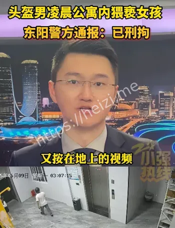 嫌犯被捕
