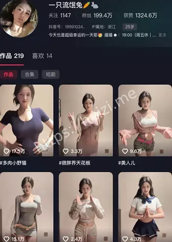 一直流氓兔