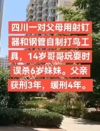 枪支安全