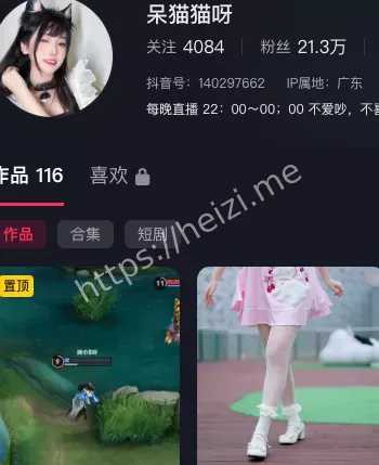 呆猫猫呀