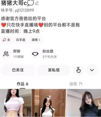 猪猪大哥