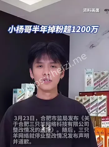 国外翻车