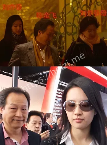 刘亦菲