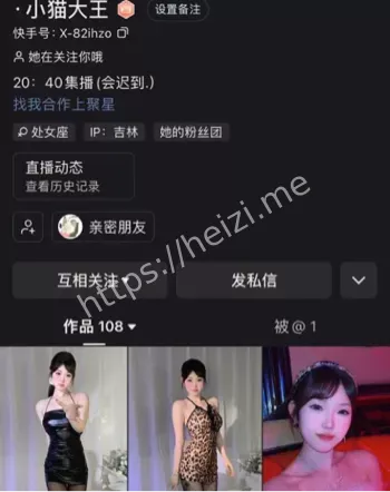 小猫大王