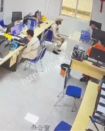原因调查中