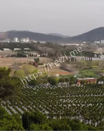 锁龙阵
