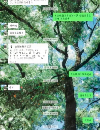 校园恋情