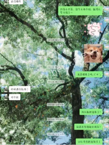 东大材料博士