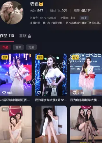网红黑料
