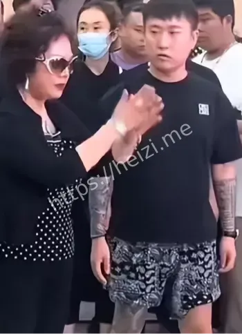 杨议丑闻
