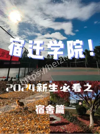 不雅视频