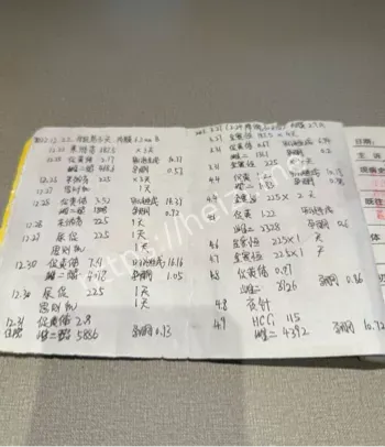 河南南阳
