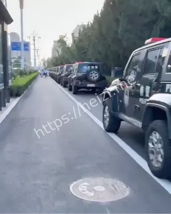 树拍易购