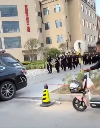 暴雷跑路