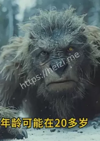畸形儿