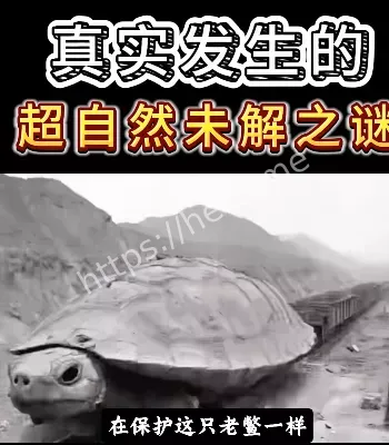 超自然