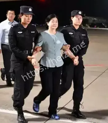 周静华归案