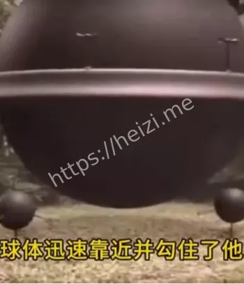 罗伯特泰勒