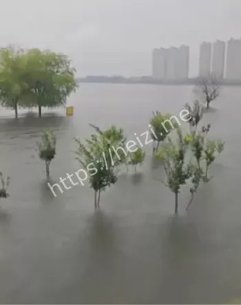 水电网络中断