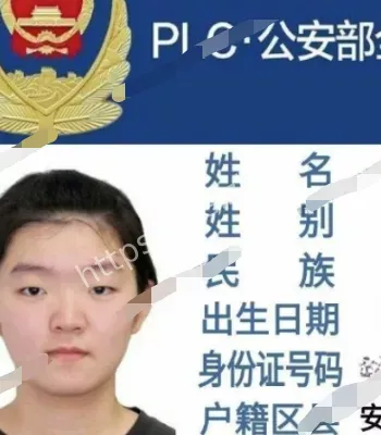 篡改合同