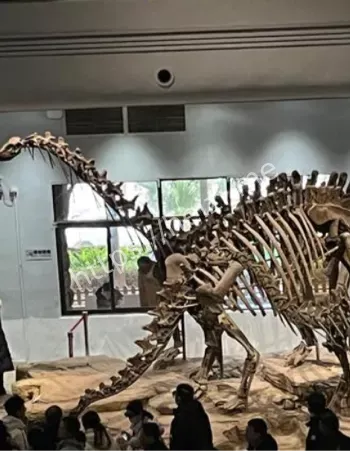 地球历史