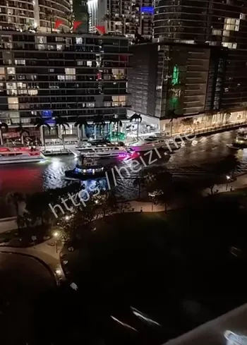 将总
