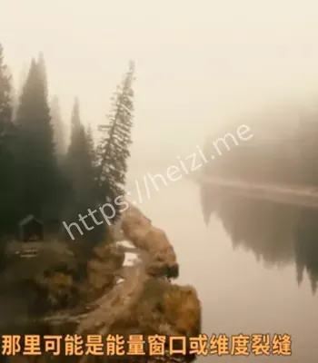 脑波交流