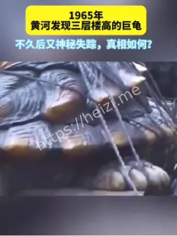 比卡车还大