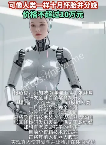 子宫