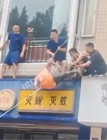 外墙作业被蛰