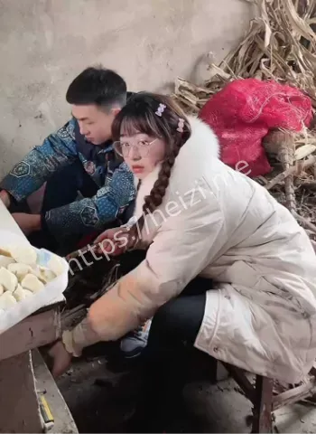 网络热议