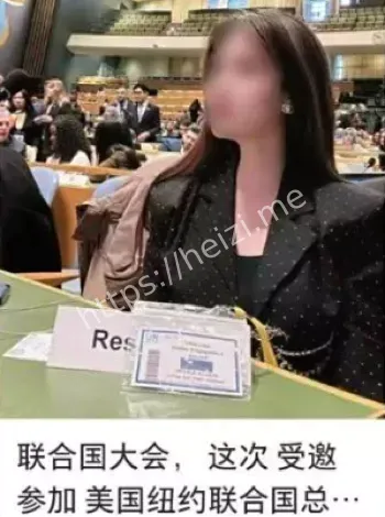 Shirley林
