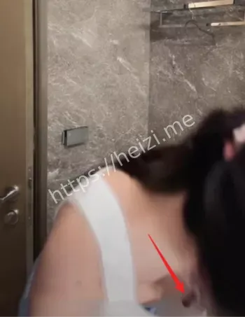 车模