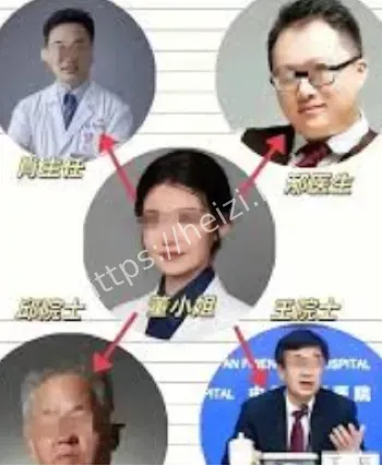 董袭莹学术造假