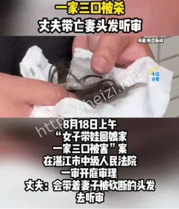 丈夫带亡妻头发