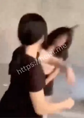 武都中学