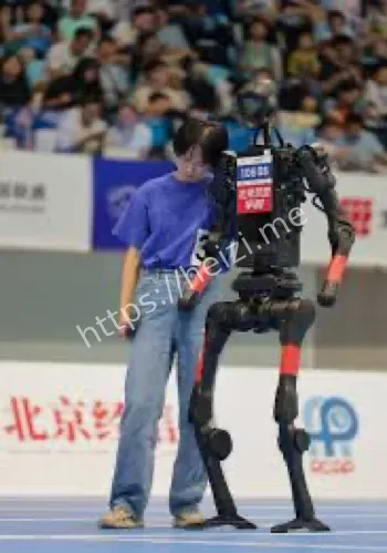 人形机器人
