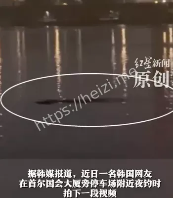 汉江怪物