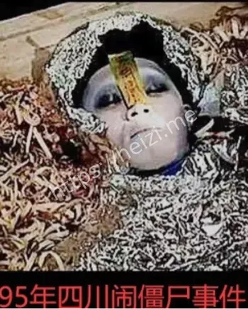 1995年成都僵尸