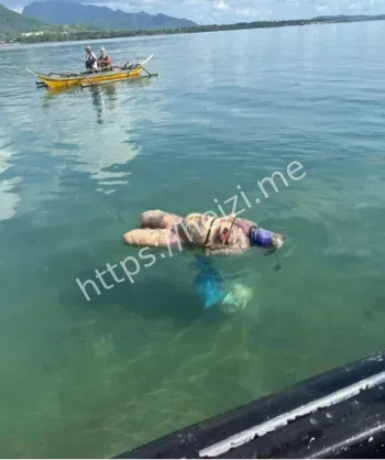 菲律宾选美冠军