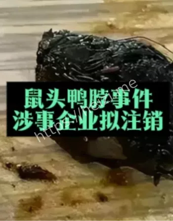 鼠头鸭脖