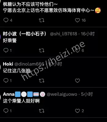 乘警监督